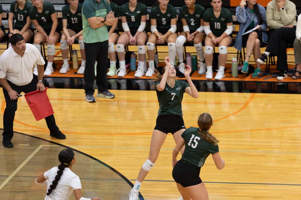 %_tempFileName1M6A6673%