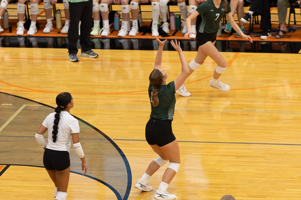 %_tempFileName1M6A6678%