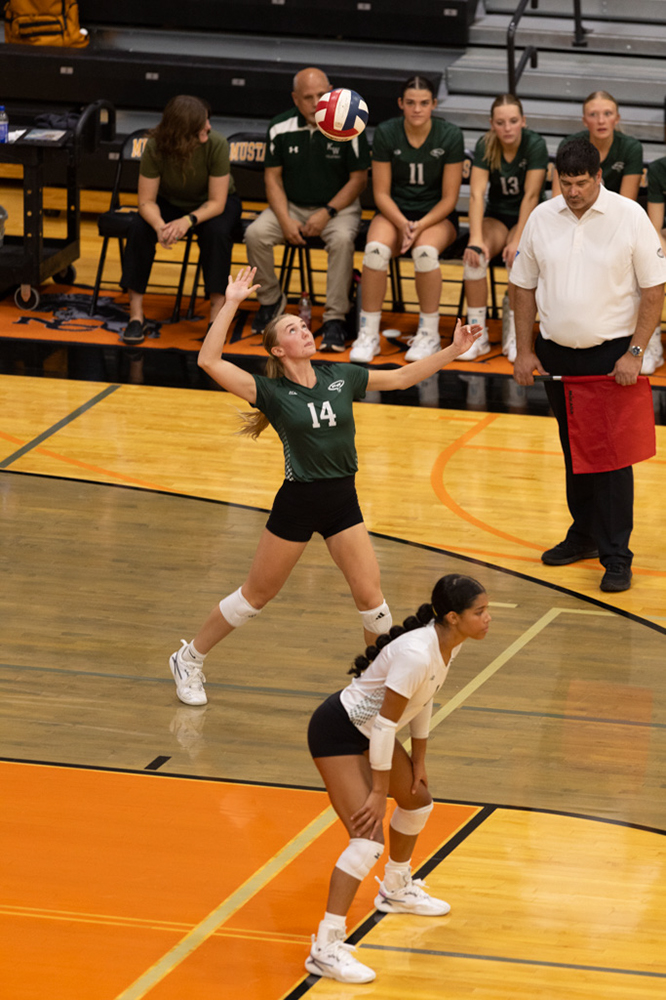 %_tempFileName1M6A6688%