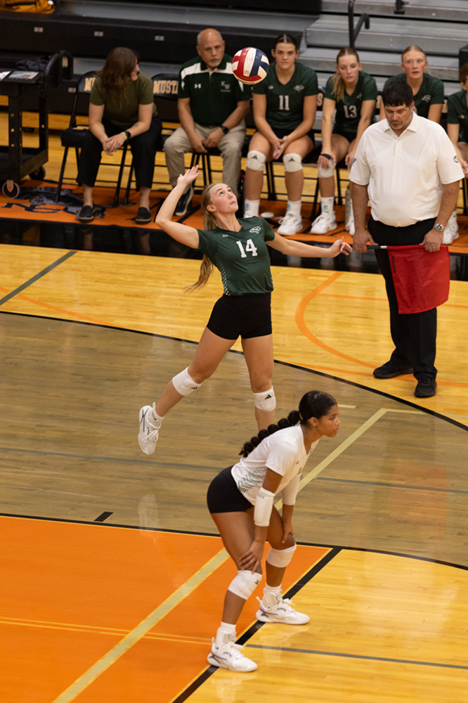 %_tempFileName1M6A6689%