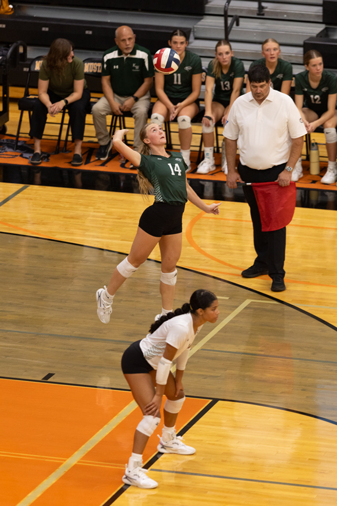 %_tempFileName1M6A6690%