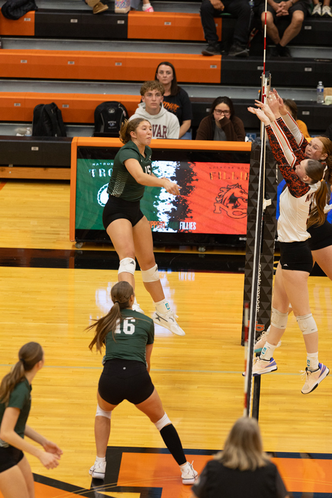 %_tempFileName1M6A6711%