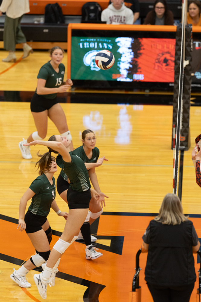 %_tempFileName1M6A6733%