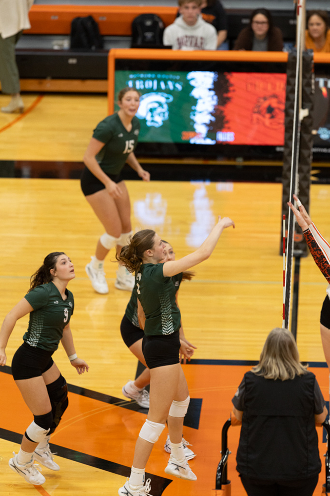 %_tempFileName1M6A6736%