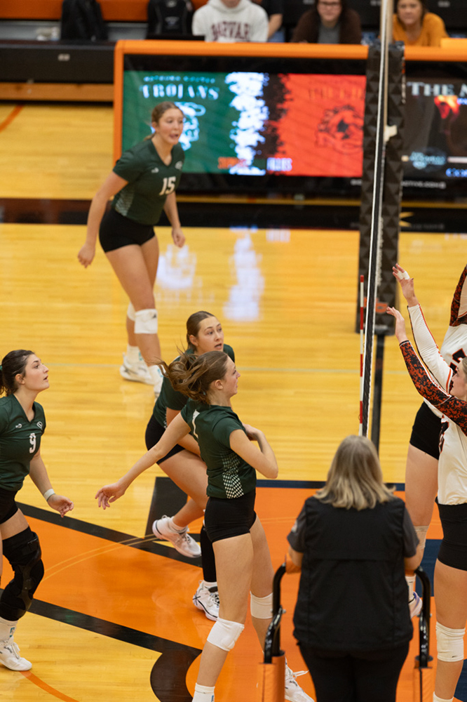 %_tempFileName1M6A6738%