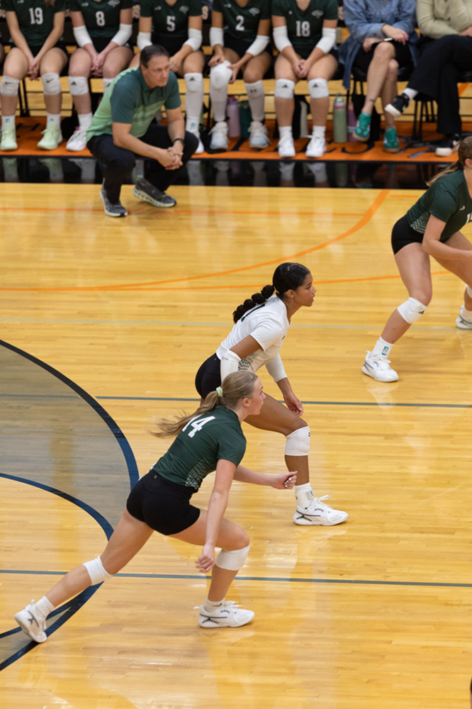 %_tempFileName1M6A6779%