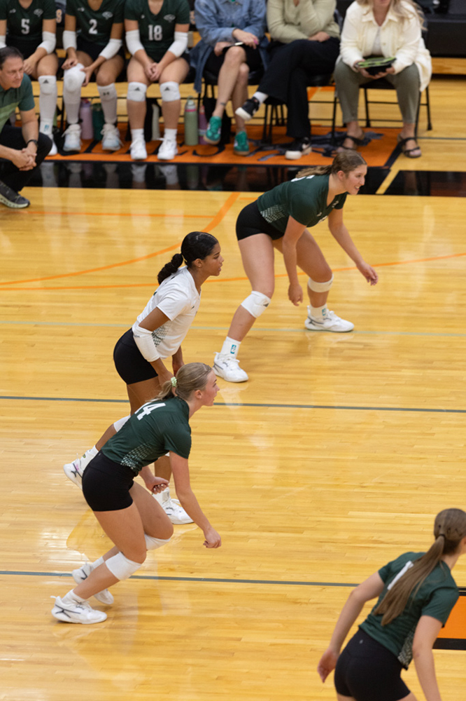 %_tempFileName1M6A6782%