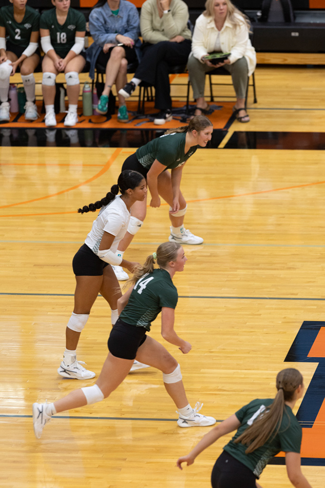 %_tempFileName1M6A6785%