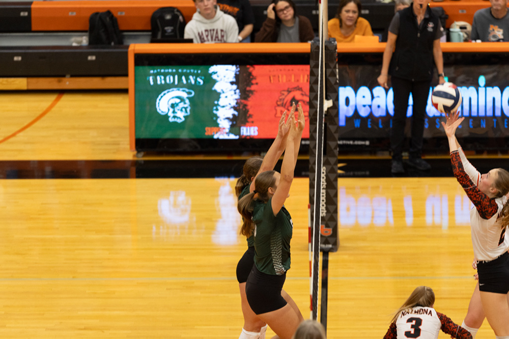 %_tempFileName1M6A6803%