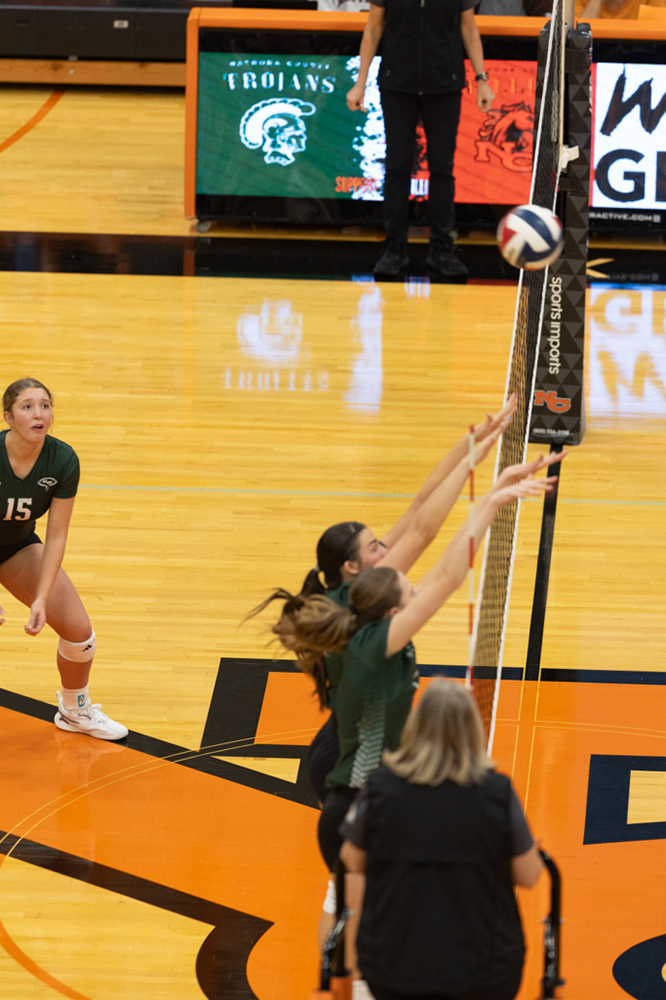 %_tempFileName1M6A6833%