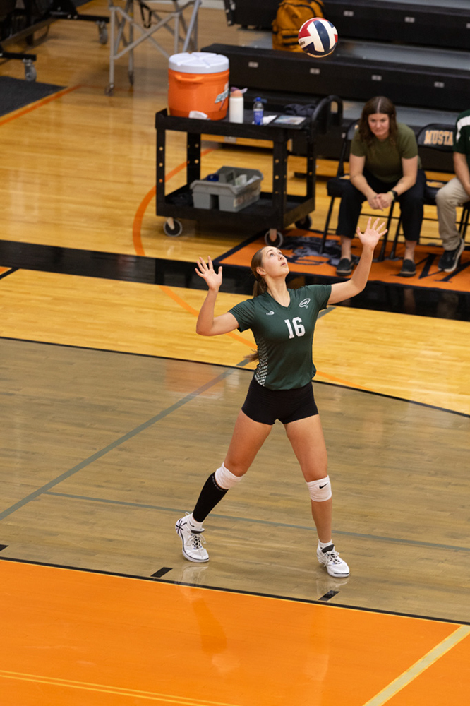 %_tempFileName1M6A6865%