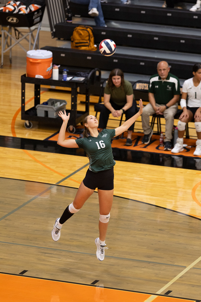 %_tempFileName1M6A6867%