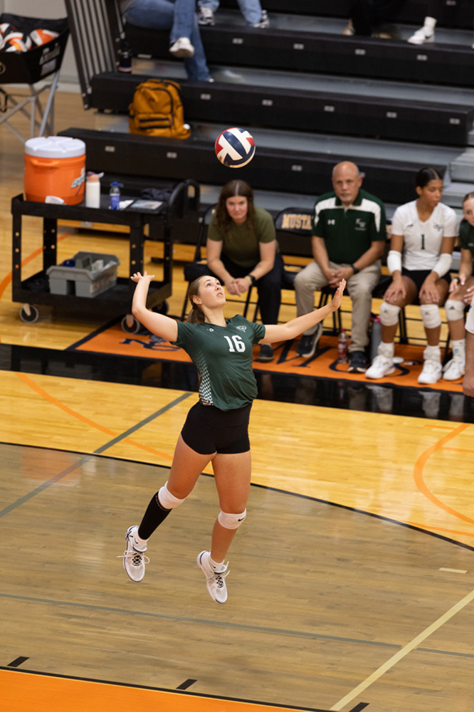 %_tempFileName1M6A6868%