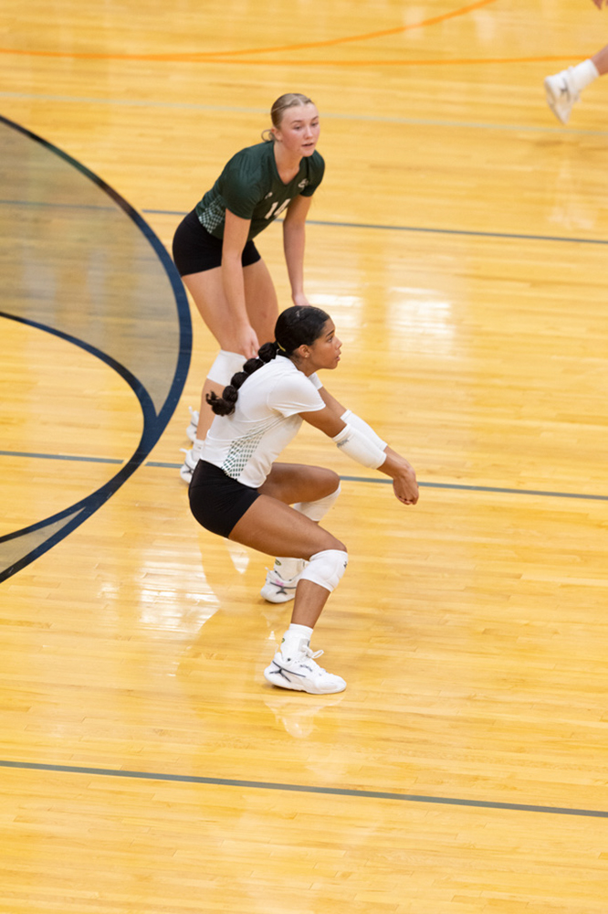 %_tempFileName1M6A6874%