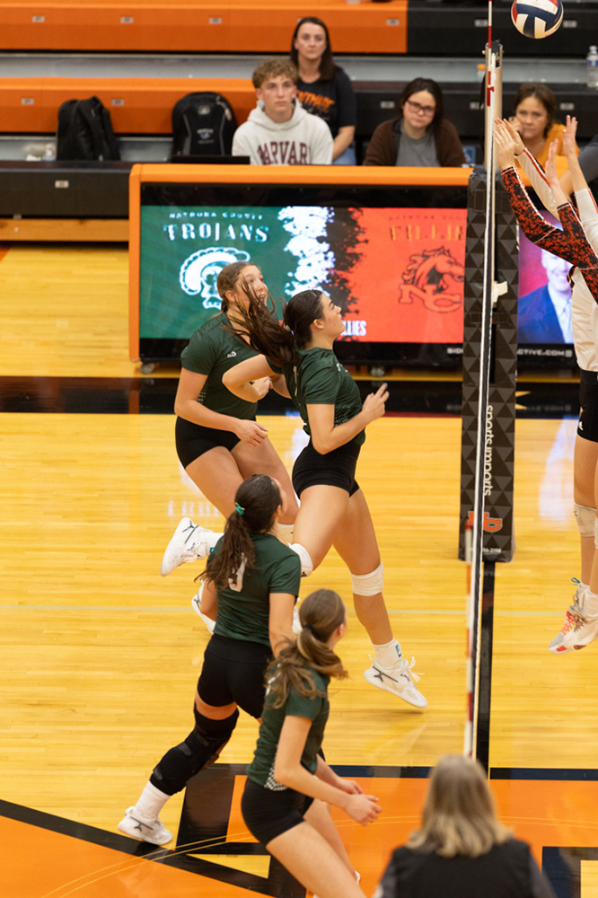 %_tempFileName1M6A6891%