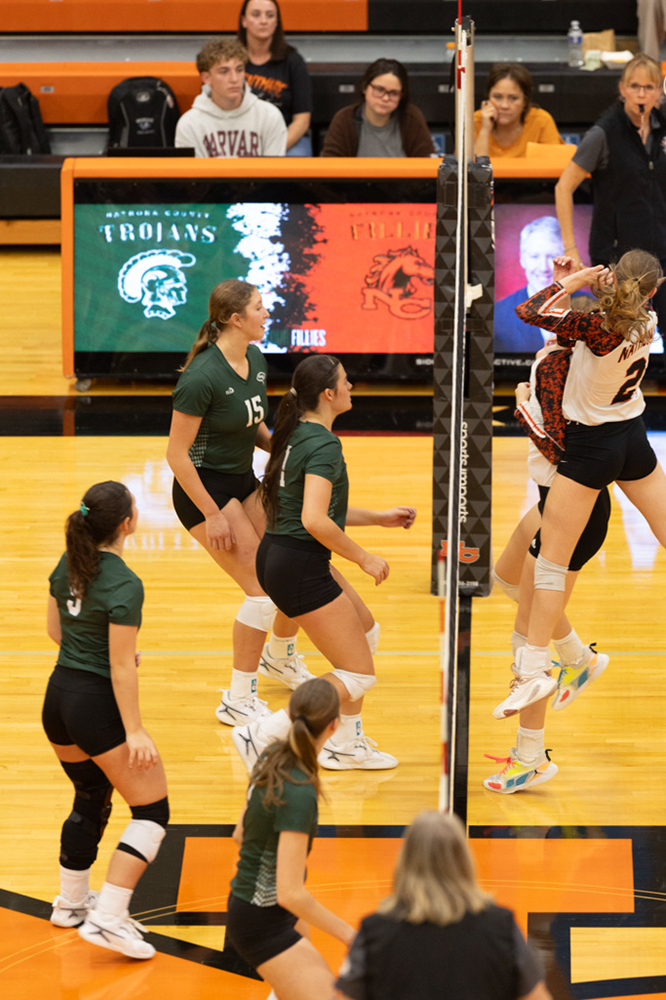 %_tempFileName1M6A6895%