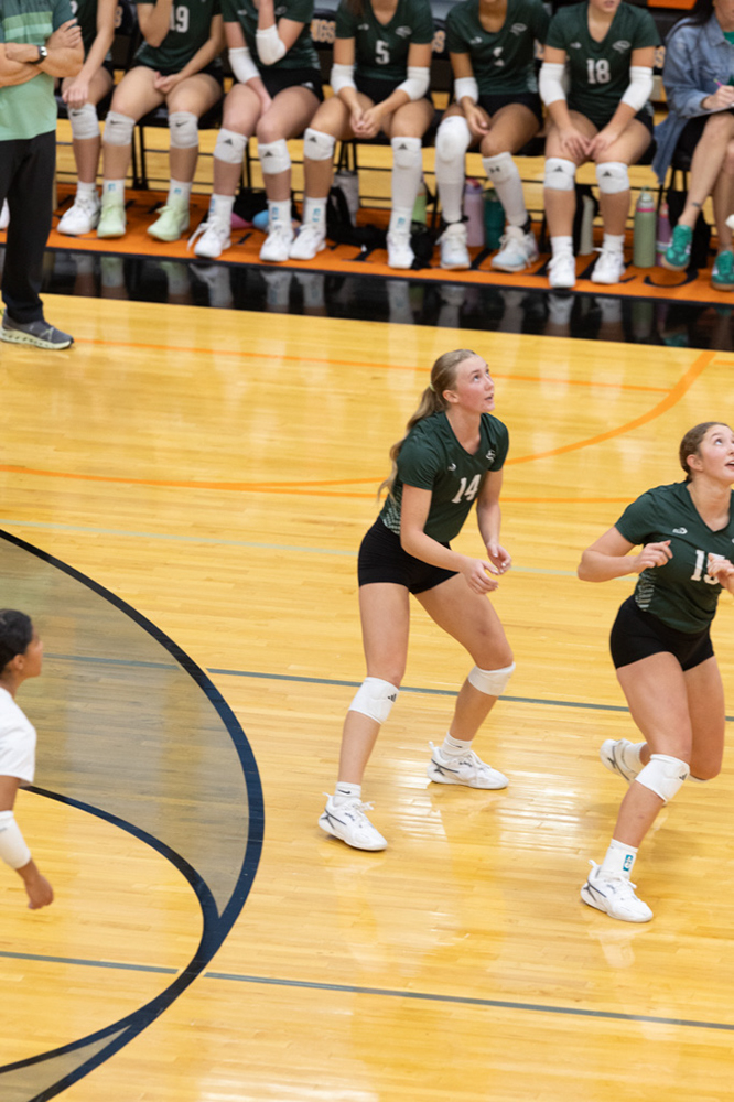 %_tempFileName1M6A6909%