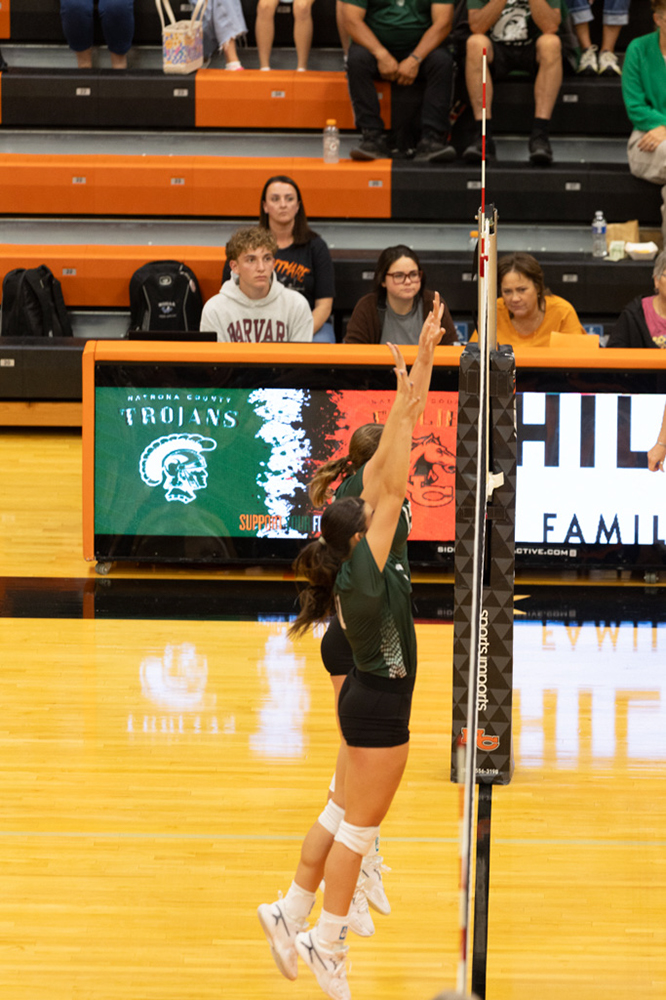 %_tempFileName1M6A6916%