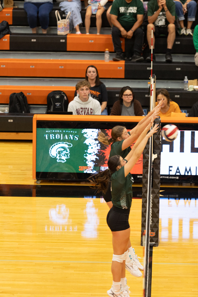 %_tempFileName1M6A6919%