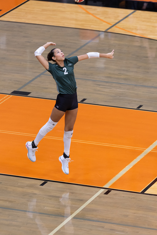 %_tempFileName1M6A6935%