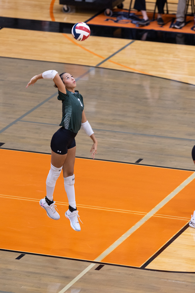 %_tempFileName1M6A6937%