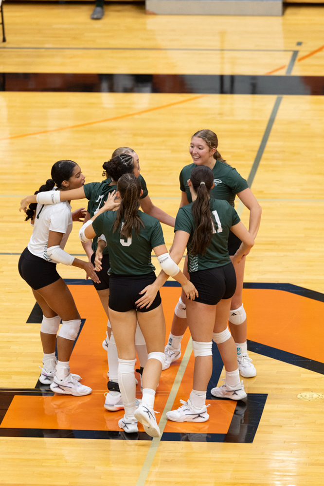 %_tempFileName1M6A6950%