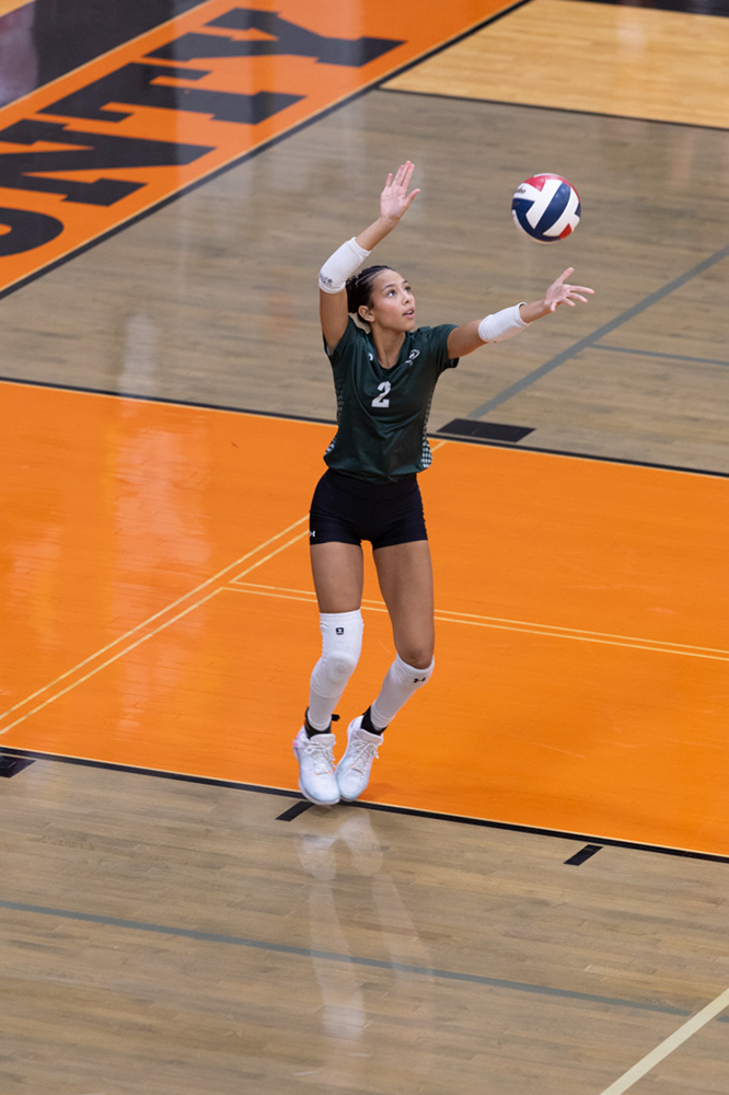 %_tempFileName1M6A6961%