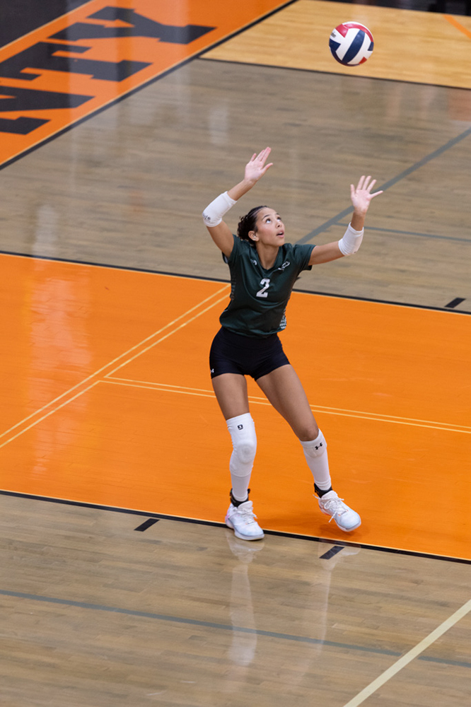 %_tempFileName1M6A6963%