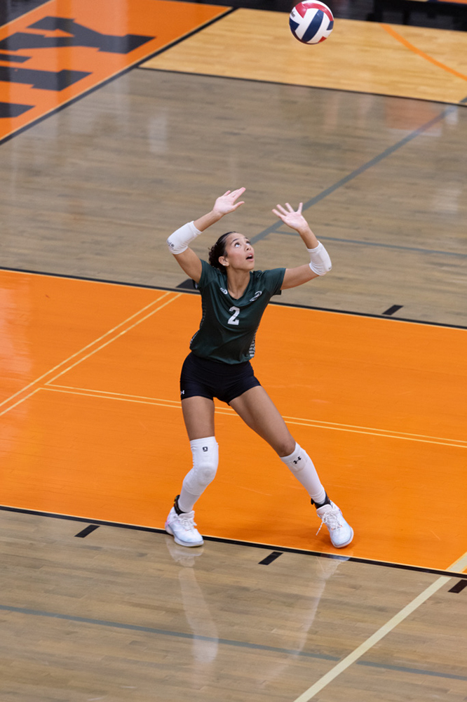 %_tempFileName1M6A6964%