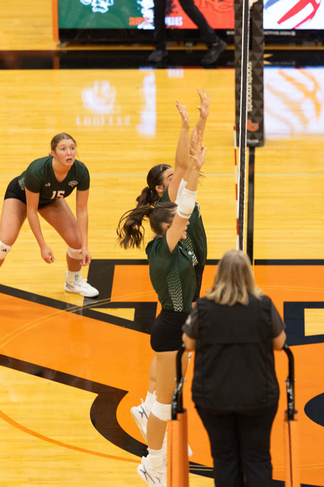 %_tempFileName1M6A6975%