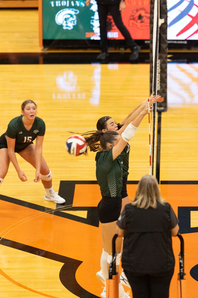 %_tempFileName1M6A6977%