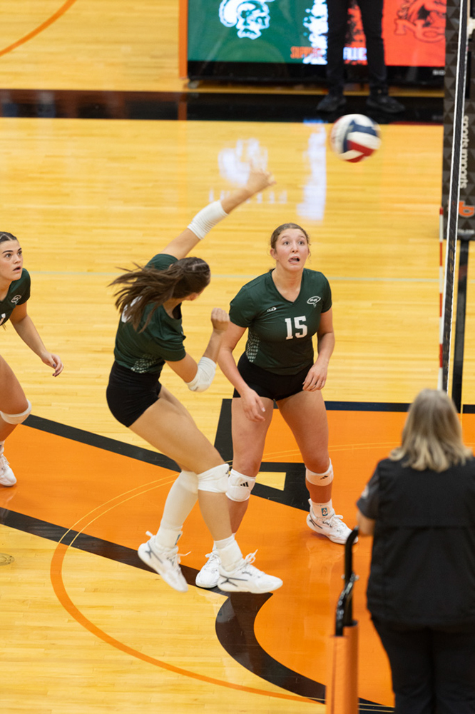 %_tempFileName1M6A6981%