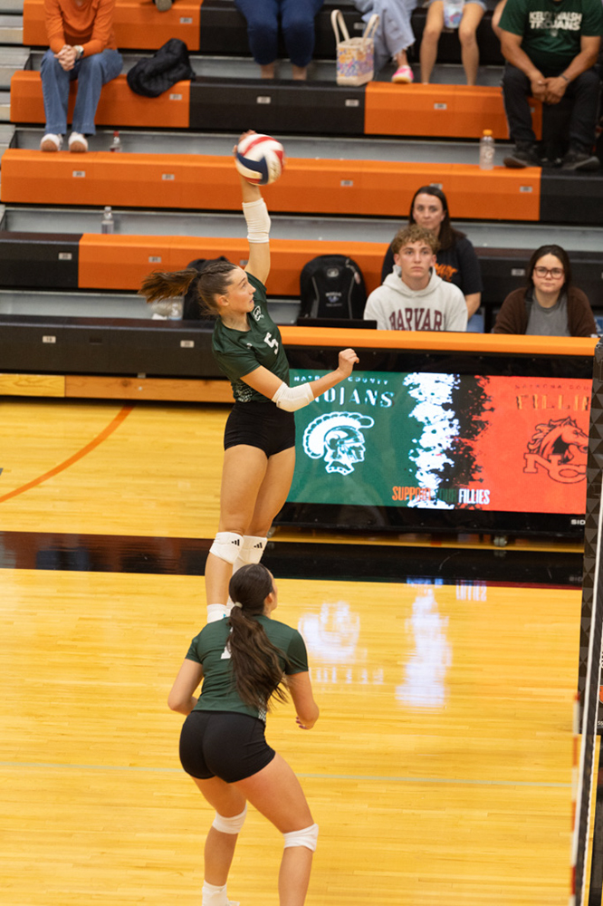 %_tempFileName1M6A7003%