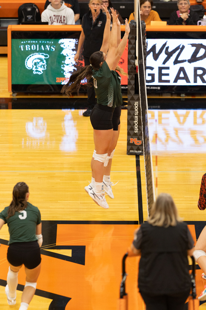 %_tempFileName1M6A7038%