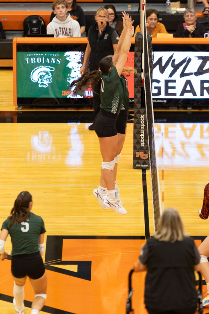 %_tempFileName1M6A7039%