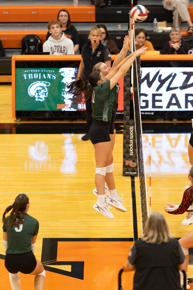 %_tempFileName1M6A7041%