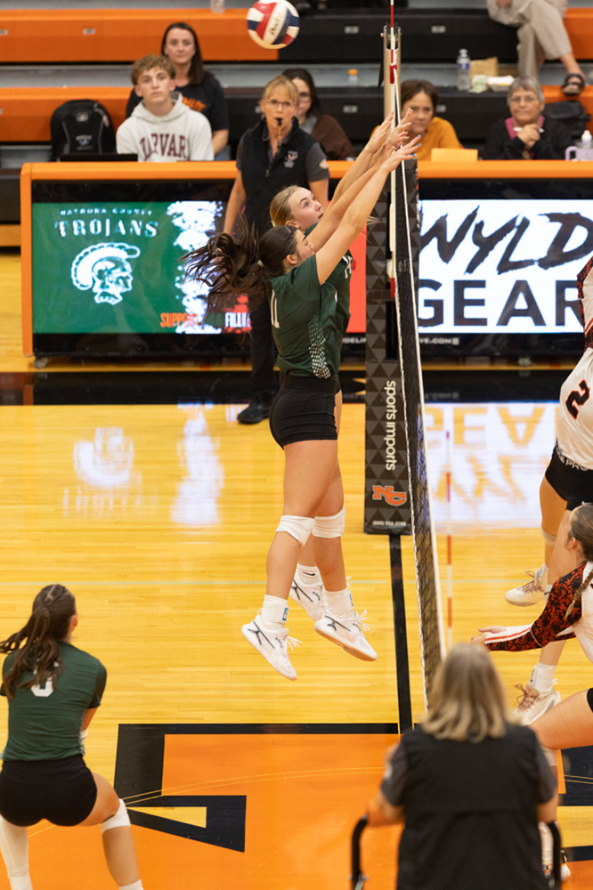 %_tempFileName1M6A7042%