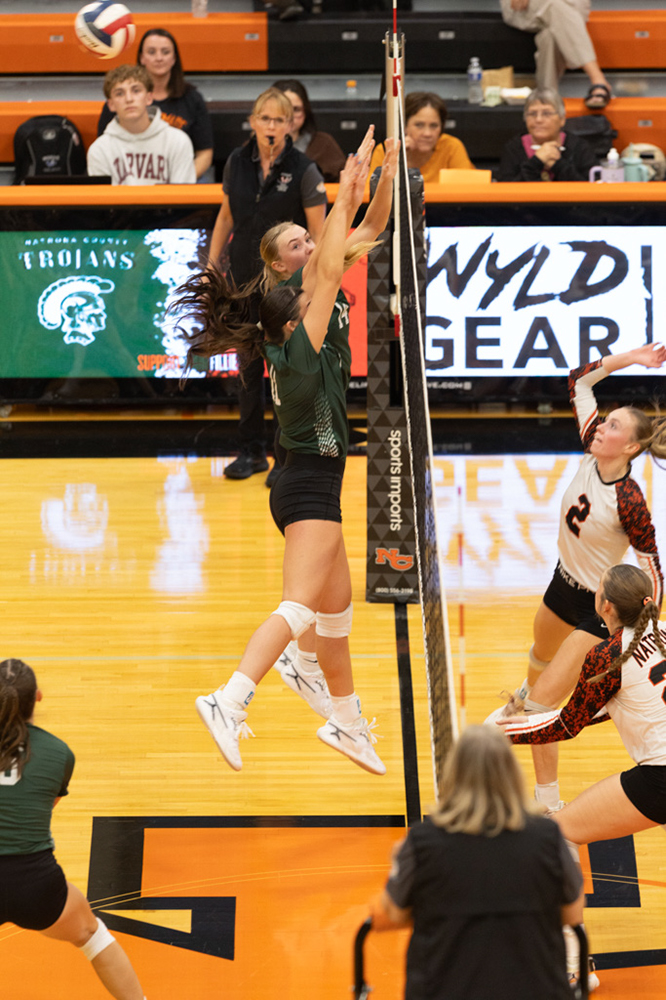 %_tempFileName1M6A7043%