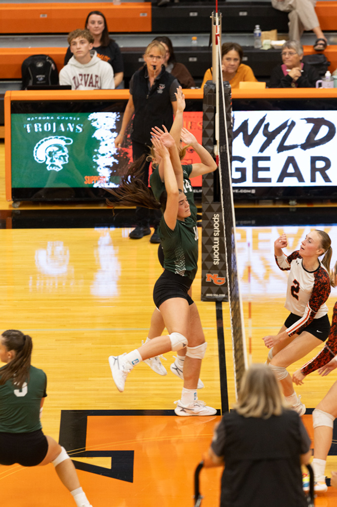 %_tempFileName1M6A7045%