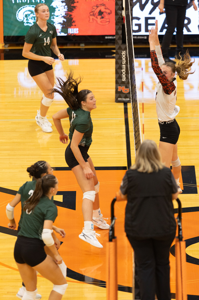 %_tempFileName1M6A7049%