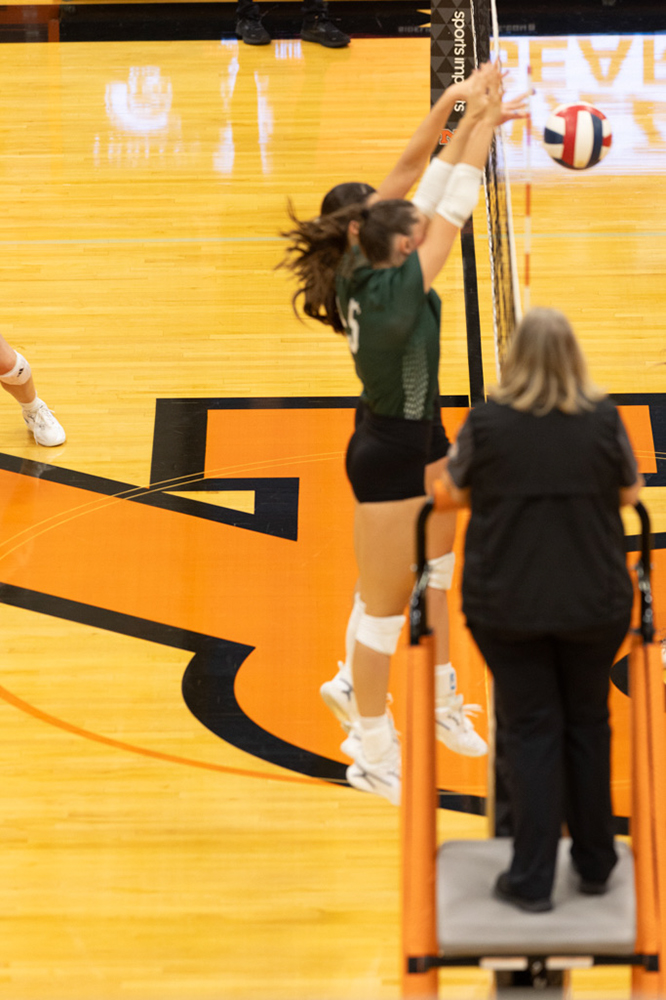 %_tempFileName1M6A7055%