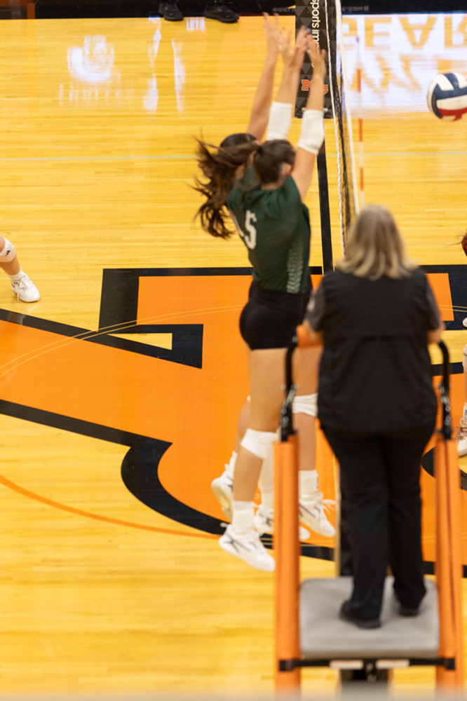 %_tempFileName1M6A7056%