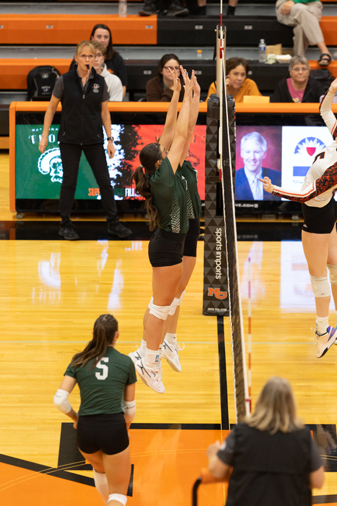 %_tempFileName1M6A7133%