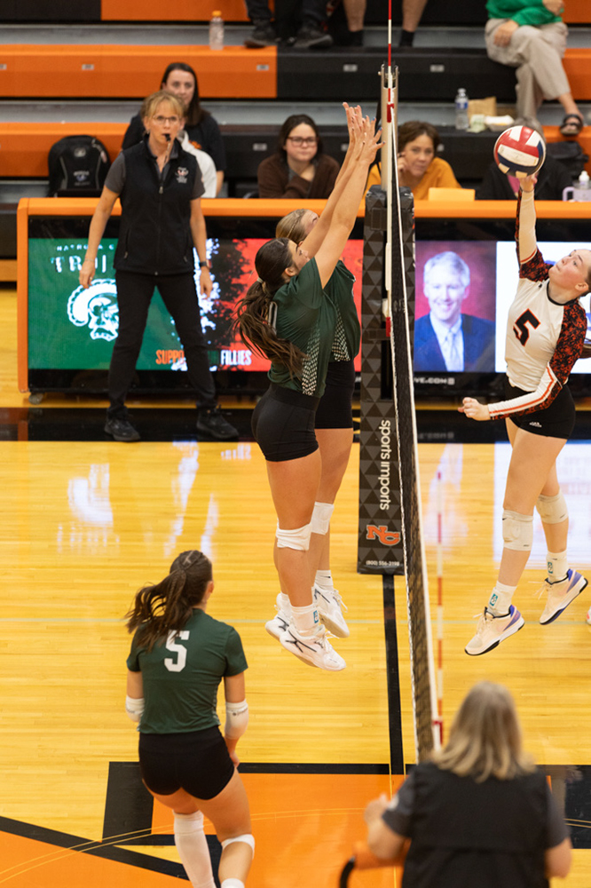 %_tempFileName1M6A7135%