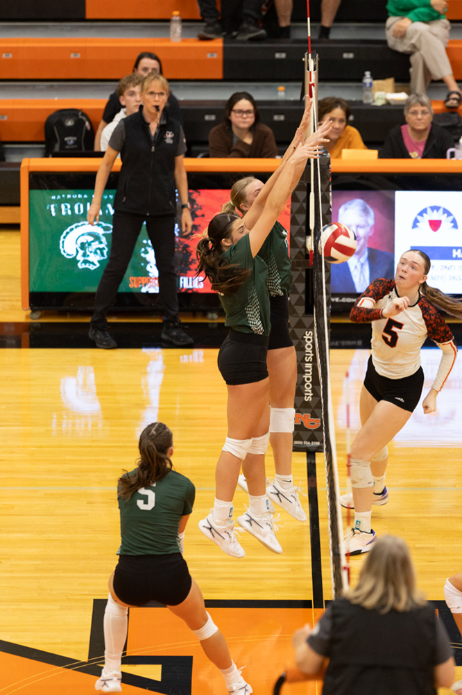 %_tempFileName1M6A7138%