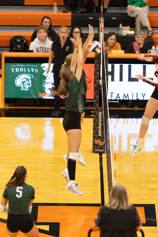 %_tempFileName1M6A7156%