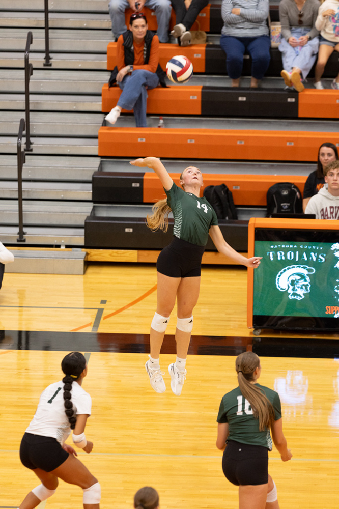 %_tempFileName1M6A7285%