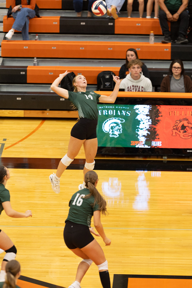 %_tempFileName1M6A7304%