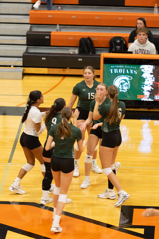 %_tempFileName1M6A7315%