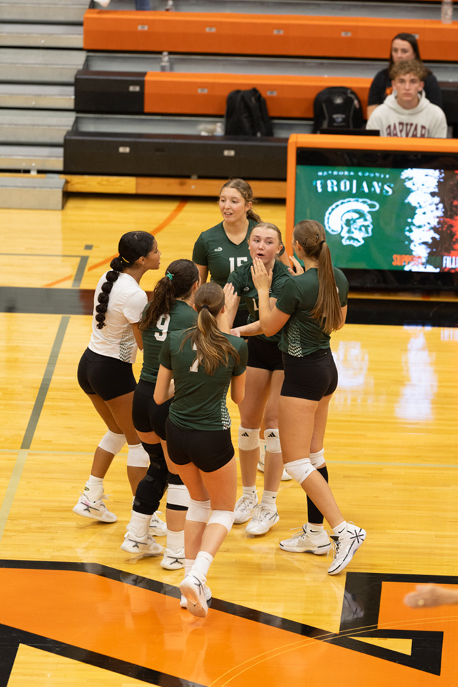 %_tempFileName1M6A7319%